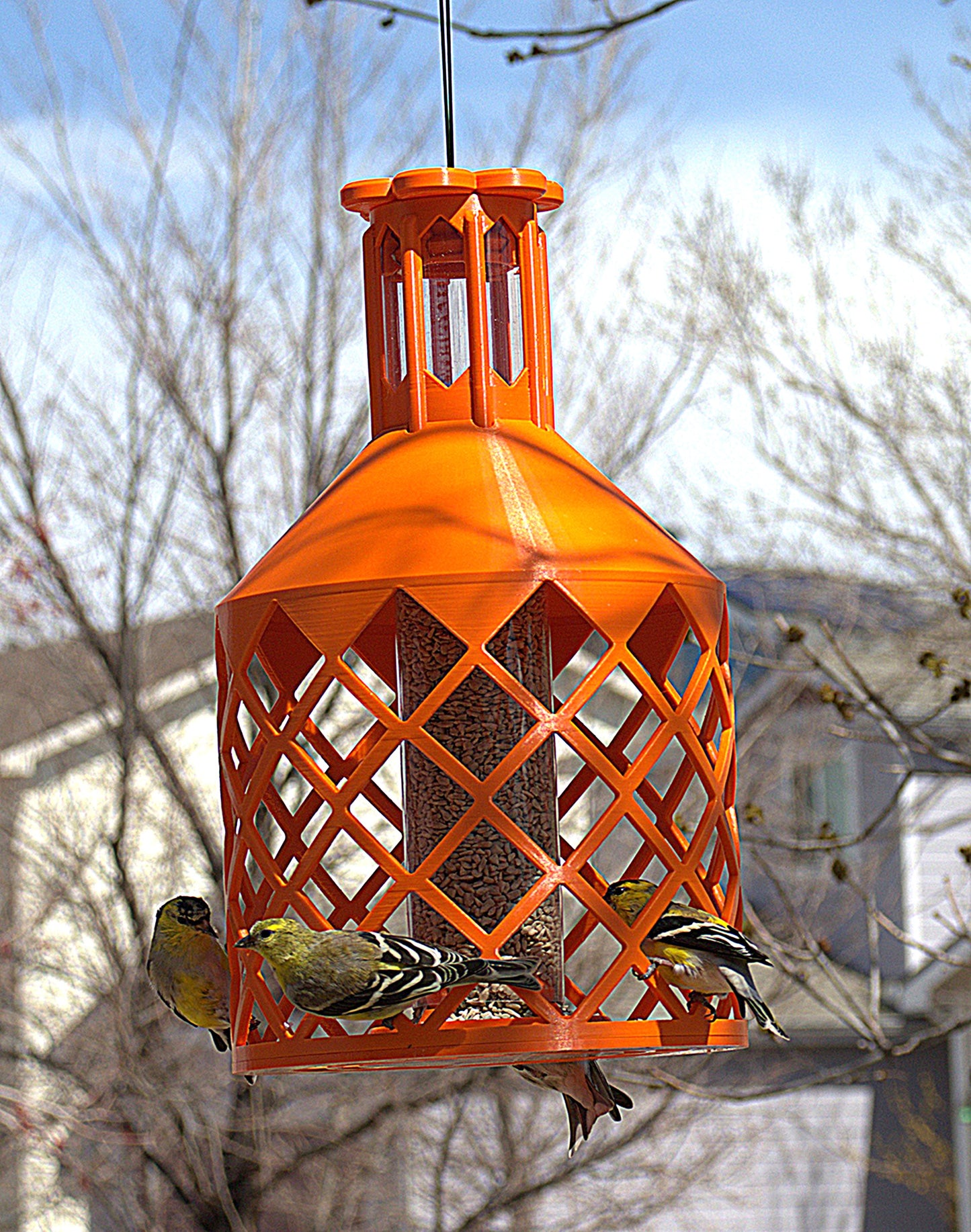 Diamond Feeder 1 lb